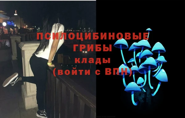 соль курить ск Алзамай