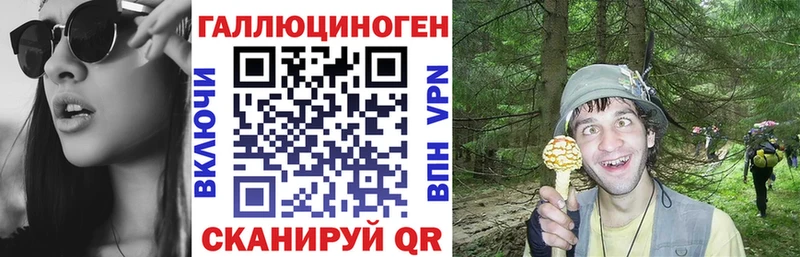 купить наркоту  Тихвин  Псилоцибиновые грибы GOLDEN TEACHER 