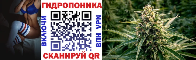 Каннабис гибрид  сколько стоит  Тихвин 